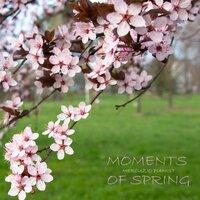 Moments Of Spring