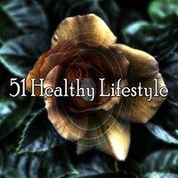 51 Healthy Lifestyle