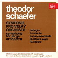 Schaefer: Symphony for Large Orchestra