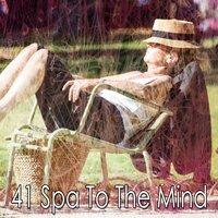 41 Spa to the Mind