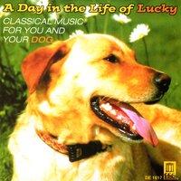 Classical Music for You And Your Dog - A Day in the Life of Lucky