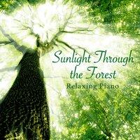 Sunlight Through the Forest ~ Relaxing Piano
