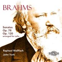 Brahms: Cello Sonatas Vol. 2