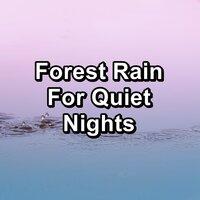 Forest Rain For Quiet Nights