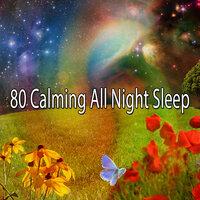 80 Calming All Night Sle - EP