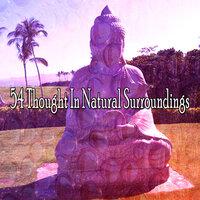 54 Thought in Natural Surroundings