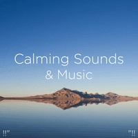 !!" Calming Sounds & Music "!!