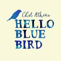 Hello Blue Bird