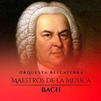 Maestros De La Música: Bach