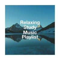 Relaxing Study Music Playlist