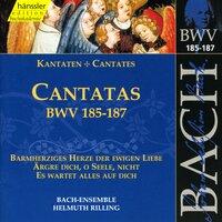 Bach, J.S.: Cantatas, Bwv 185-187