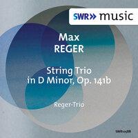 Reger-Trio