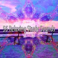 56 Relaxing Study Sounds
