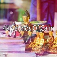49 Sounds of Calm