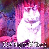 53 A Night of Sleep