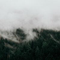 # 35 Peaceful Ambient Songs
