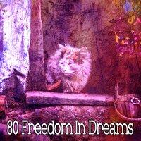 80 Freedom in Dreams