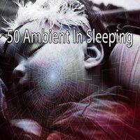 50 Ambient in Sleeping