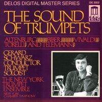 Trumpet Music - Altenburg, J. / Vivaldi, A. / Biber, H. / Torelli, G. / Telemann, G. (The Sound of Trumpets)
