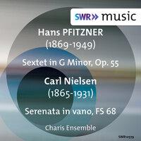 Pfitzner: Sextet, Op. 55 - Nielsen: Serenata in vano, FS 68