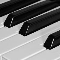 Exclusive Piano Collection - 40 Melodies to Fall in Love with and for the Ultimate Relaxing Ambience