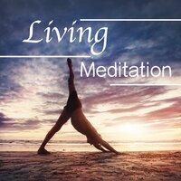 Living Meditation: Total Relaxation Music for the Ultimate Wellbeing