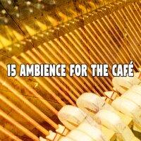 15 Ambience for the Café