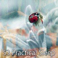 53 Practical Sleep