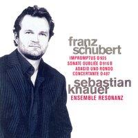 Franz Schubert: 4 Impromptus / Piano piece in C Major / Adagio and Rondo Concertante