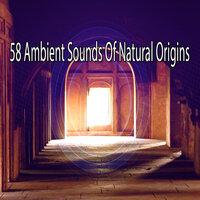 58 Ambient Sounds of Natural Origins