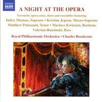 Night At The Opera (A) - Favourite Opera Arias, Duets and Ensembles