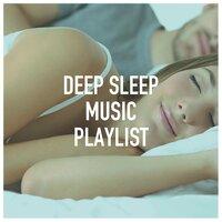 Deep Sleep Music Playlist