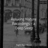 Relaxing Nature Recordings - a Deep Sleep