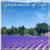 Symphonies Of Life, Vol. 1 - Handel: Overtures