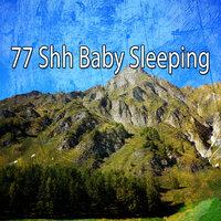 77 Shh Baby Sleeping