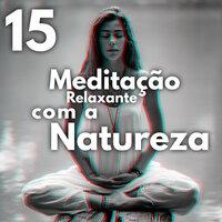 15 Meditação Relaxante com a Natureza - Sons Zen, Música Asiática, Espiritualidade de Cura, Sons da Natureza, Ioga, Spa, Terapia Musical Suave