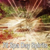 78 Spa Day Spirits