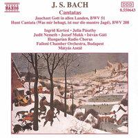 J.S. Bach: Cantatas, BWV 51 & 208