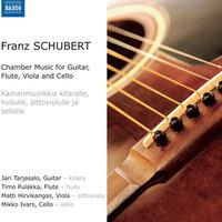 Schubert, F.: Guitar Quartet / Arpeggione Sonata