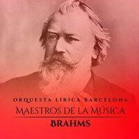 Maestros de la Música: Brahms
