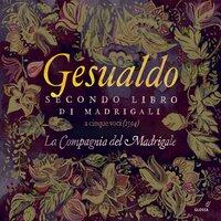 Gesualdo, Nenna & Others: Madrigals