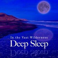 In the Vast Wilderness ~ Deep Sleep
