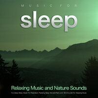 Music For Sleep: Relaxing Music and Nature Sounds For Deep Sleep, Music For Relaxation, Relaxing Sleep Aid and Piano and  Bird Sounds For Sleeping Music