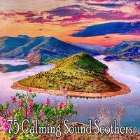 75 Calming Sound Soothers