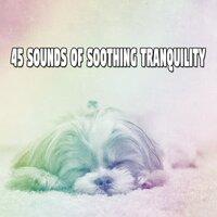 45 Sounds of Soothing Tranquility