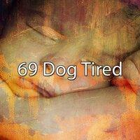 69 Dog Tired