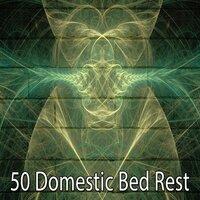 50 Domestic Bed Rest