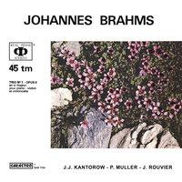 Johannes Brahms: Piano Trio No. 1 in B major, Op. 8