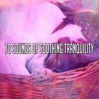 70 Sounds of Soothing Tranquility