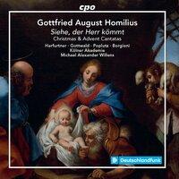 Homilius: Christmas & Advent Cantatas